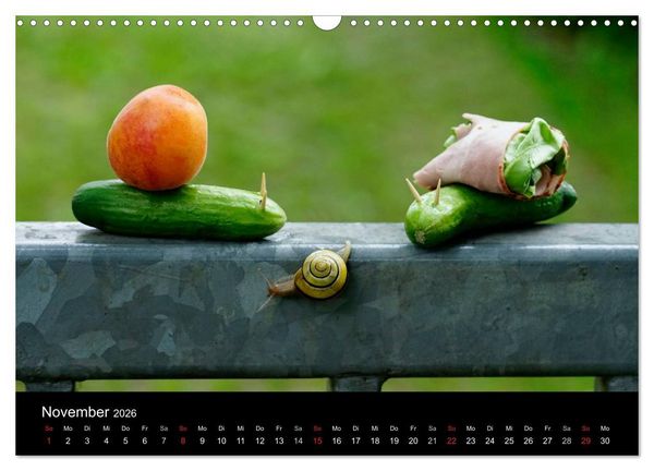 Produktbild: Kleine B&auml;nderschnecke ganz gro&szlig; - Gem&uuml;tlich durch das neue Jahr (Wandkalender 2026 DIN A3 quer), CALVENDO Monatskalender