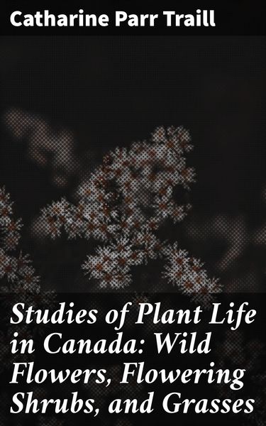 Produktbild: Studies of Plant Life in Canada: Wild Flowers, Flowering Shrubs, and Grasses