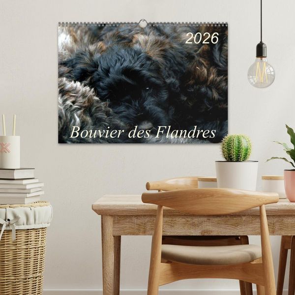 Produktbild: Bouvier des Flandres (Wandkalender 2026 DIN A3 quer), CALVENDO Monatskalender