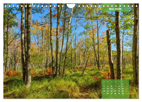 Produktbild: New England - Vielfalt einer Region (Wandkalender 2026 DIN A4 quer), CALVENDO Monatskalender