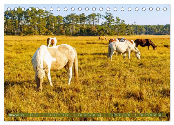 Produktbild: Virginia. Amerikanische Sch&ouml;nheit zwischen K&uuml;ste und Bergen (Tischkalender 2026 DIN A5 quer), CALVENDO Monatskalender