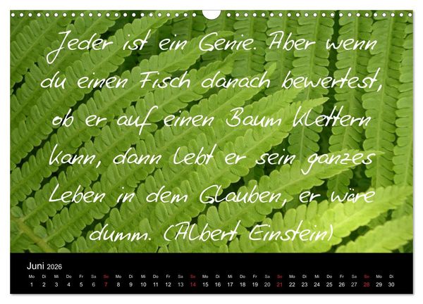 Produktbild: Positiv durch&acute;s Jahr (Wandkalender 2026 DIN A3 quer), CALVENDO Monatskalender