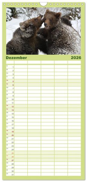 Produktbild: Familienplaner 2026 - Die lieben Kleinen ... Tierkinder einfach zum Knuddeln mit 5 Spalten (Wandkalender, 21 x 45 cm) CALVENDO