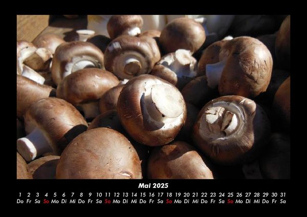 Produktbild: Pilzkalender 2025 Fotokalender DIN A3