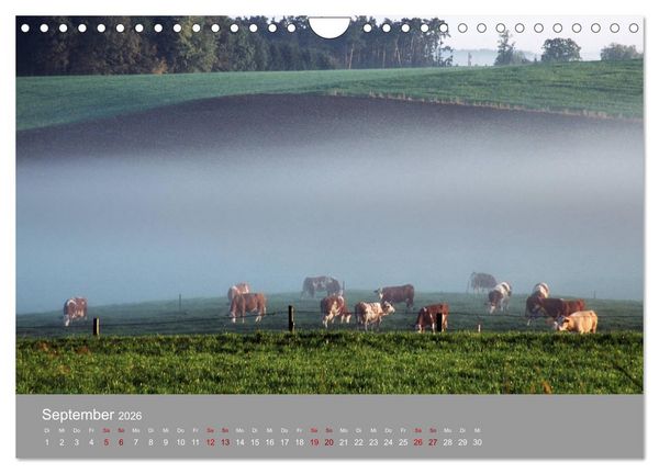 Produktbild: Hallertau (Wandkalender 2026 DIN A4 quer), CALVENDO Monatskalender