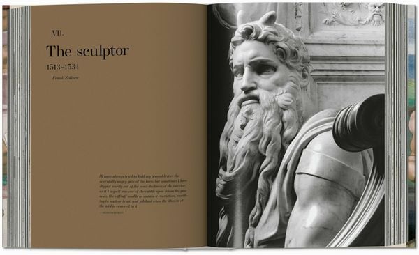 Produktbild: Michelangelo