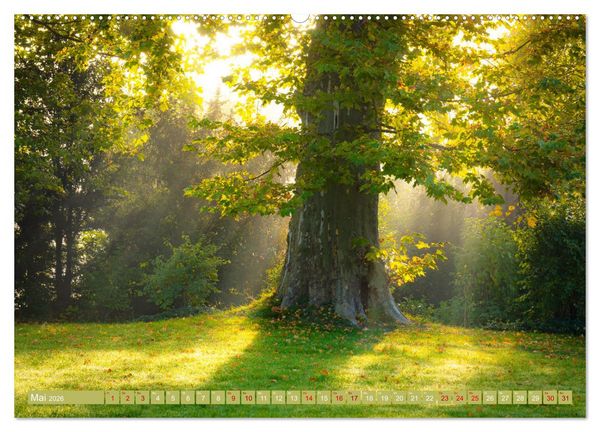 Produktbild: Herbst im Dieskauer Park (Wandkalender 2026 DIN A2 quer), CALVENDO Monatskalender