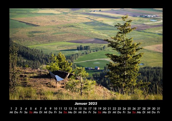 Produktbild: B&auml;ume 2025 Fotokalender DIN A3