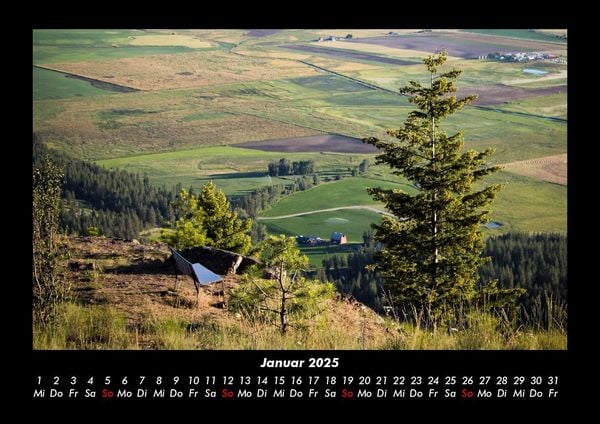 Produktbild: B&auml;ume 2025 Fotokalender DIN A3