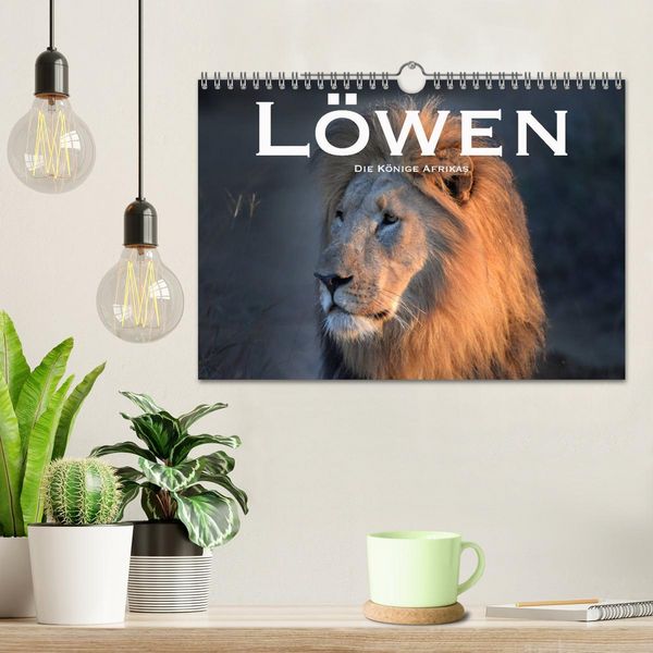 Produktbild: L&ouml;wen. Die K&ouml;nige Afrikas (Wandkalender 2026 DIN A4 quer), CALVENDO Monatskalender
