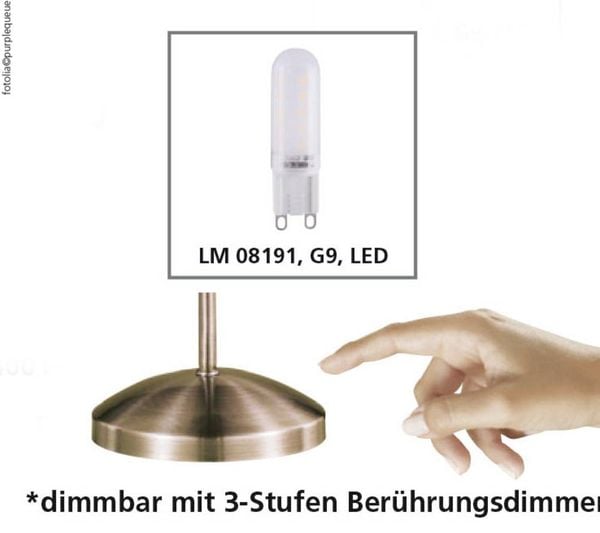 3W LED G9 Neuhaus PINO Paul bestellen Nachttischlampe 4001-11 Alt-Messing online