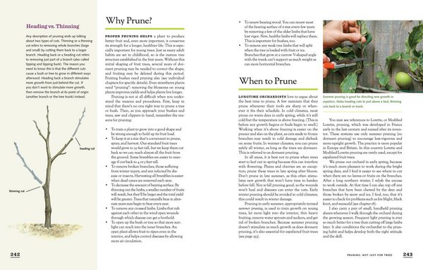 Produktbild: The Fruit Gardener's Bible