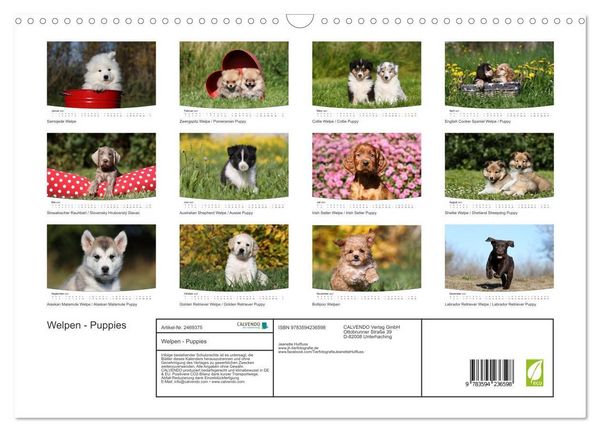 Produktbild: Welpen - Puppies (Wandkalender 2027 DIN A3 quer), CALVENDO Monatskalender