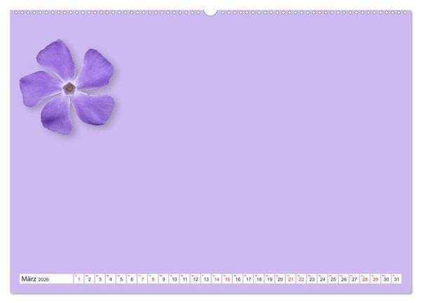 Produktbild: DIY POESIE - BASTELKALENDER (Wandkalender 2026 DIN A2 quer), CALVENDO Monatskalender