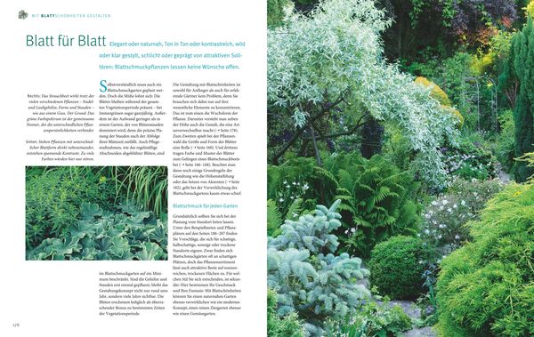 Produktbild: Ganzj&auml;hrig attraktive Beete mit Blatt und Bl&uuml;te