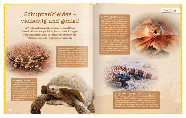 Produktbild: Der gro&szlig;e Outfit-Check der Tiere