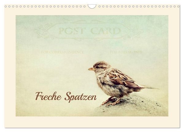Produktbild: Freche Spatzen (Wandkalender 2026 DIN A3 quer), CALVENDO Monatskalender