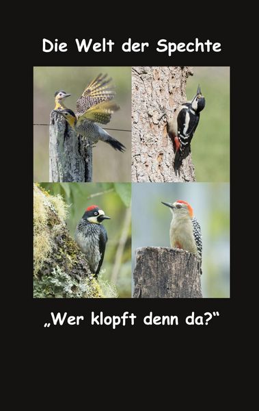 Produktbild: Die Welt der Spechte