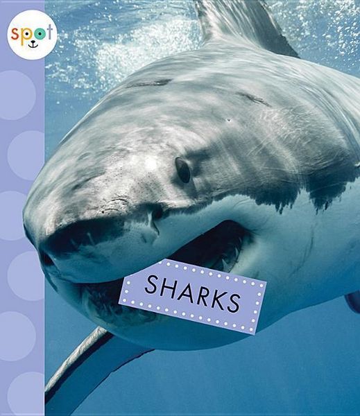 Produktbild: Sharks