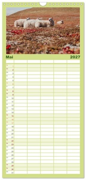Produktbild: Familienplaner 2027 - Schafe - Weich und wollig mit 5 Spalten (Wandkalender, 21 x 45 cm) CALVENDO