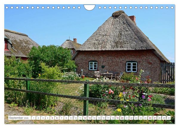 Produktbild: Sommertage auf Langeness (Wandkalender 2026 DIN A4 quer), CALVENDO Monatskalender