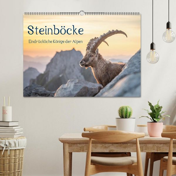 Produktbild: Steinb&ouml;cke - Eindr&uuml;ckliche K&ouml;nige der Alpen (Wandkalender 2026 DIN A2 quer), CALVENDO Monatskalender