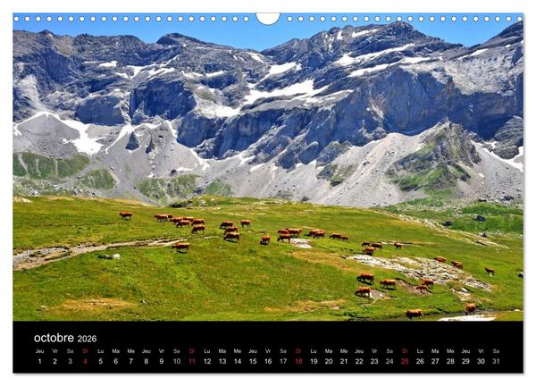 Produktbild: Couleurs Pyr&eacute;n&eacute;es (Calendrier mural 2026 DIN A3 vertical), CALVENDO calendrier mensuel