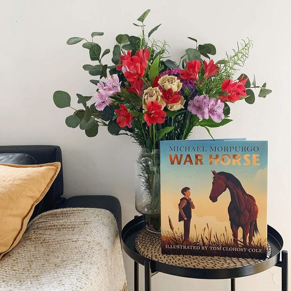 Produktbild: War Horse picture book