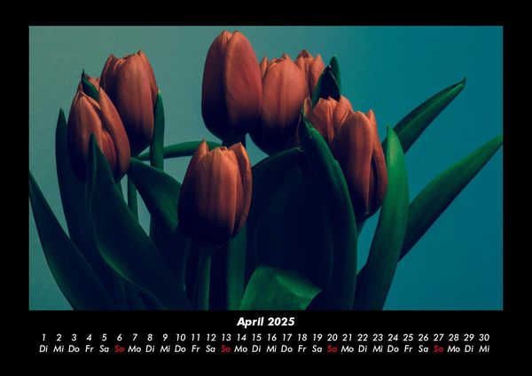 Produktbild: Blumentr&auml;ume 2025 Fotokalender DIN A3