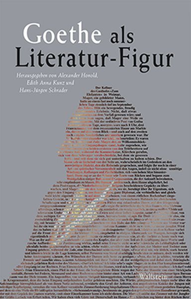 Produktbild: Goethe als Literatur-Figur