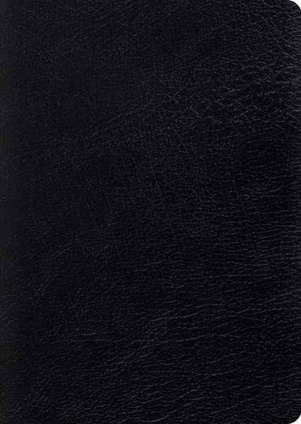Produktbild: Study Bible-ESV-Large Print