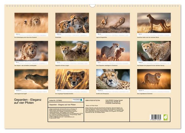 Produktbild: Geparden - Eleganz auf vier Pfoten (Wandkalender 2026 DIN A2 quer), CALVENDO Monatskalender