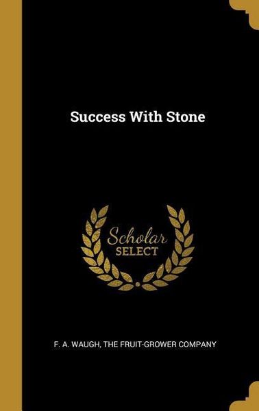 Produktbild: Success With Stone