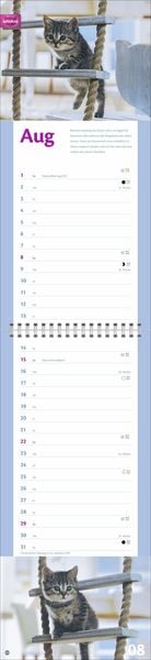 Produktbild: Whiskas Katzenleben Kalender 2027