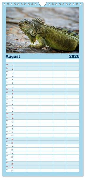 Produktbild: Familienplaner 2026 - Drachen: Geheimnisvolles Tierreich mit 5 Spalten (Wandkalender, 21 x 45 cm) CALVENDO