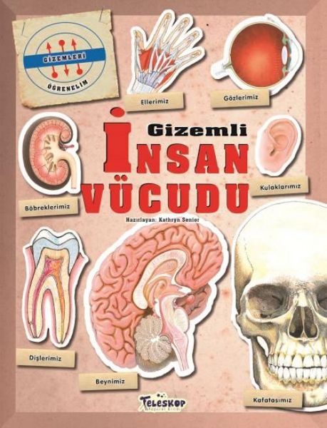 Produktbild: Gizemleri &Ouml;grenelim - Gizemli Insan V&uuml;cudu