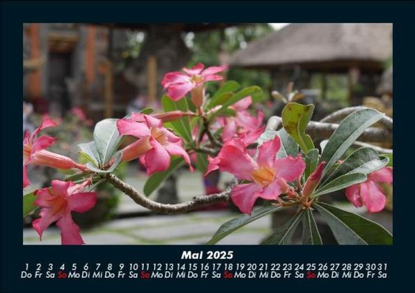 Produktbild: Blumenzauber 2025 Fotokalender DIN A5