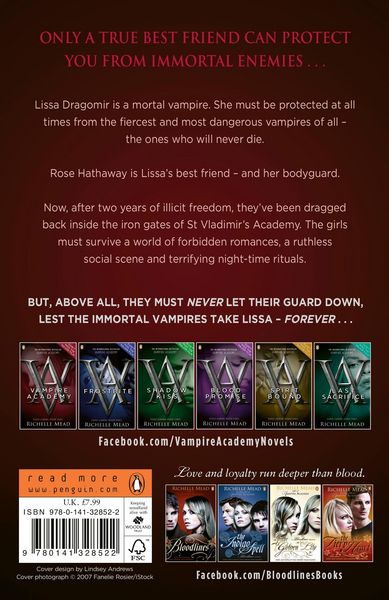Produktbild: Vampire Academy (book 1)