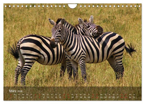 Produktbild: Ostafrika - Tansania und Kenia hautnah (Wandkalender 2026 DIN A4 quer), CALVENDO Monatskalender