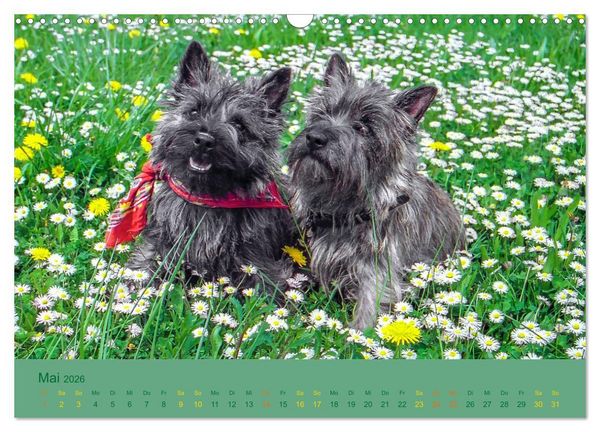 Produktbild: Cairns Forever (Wandkalender 2026 DIN A3 quer), CALVENDO Monatskalender
