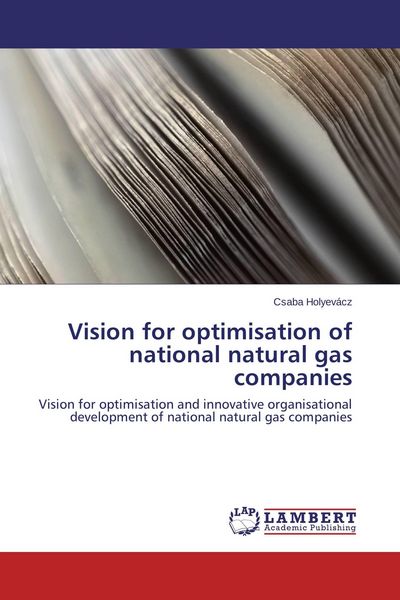 Produktbild: Vision for optimisation of national natural gas companies