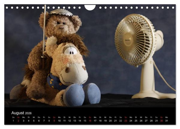 Produktbild: Herr Nopf ist da! (Wandkalender 2026 DIN A4 quer), CALVENDO Monatskalender