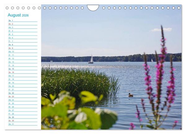 Produktbild: Urlaubsparadies Scharm&uuml;tzelsee (Wandkalender 2026 DIN A4 quer), CALVENDO Monatskalender