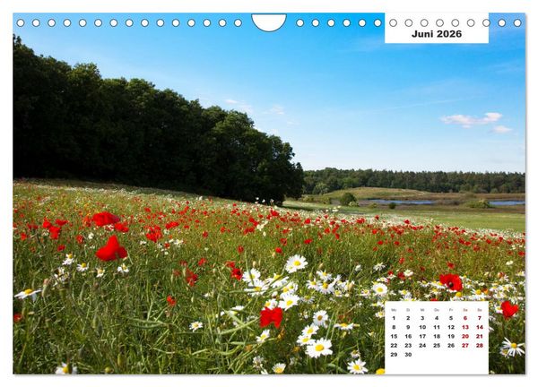 Produktbild: R&uuml;gen Panorama (Wandkalender 2026 DIN A4 quer), CALVENDO Monatskalender