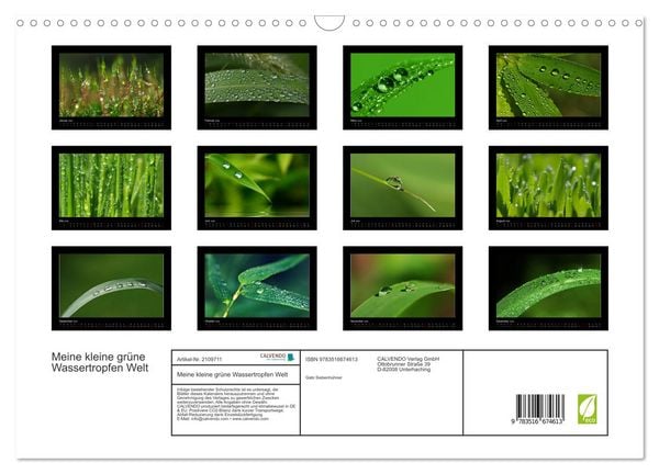 Produktbild: Meine kleine gr&uuml;ne Wassertropfen Welt (Wandkalender 2026 DIN A3 quer), CALVENDO Monatskalender