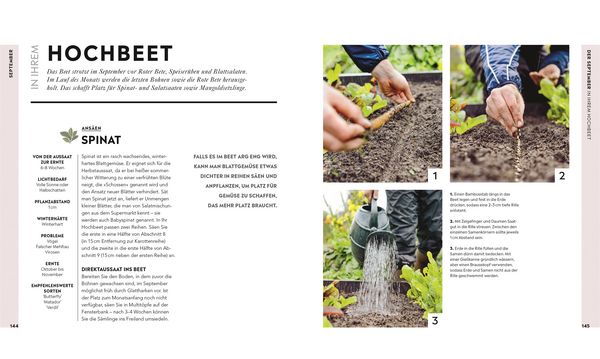 Produktbild: Hochbeet
