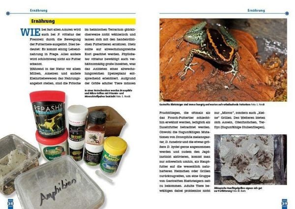 Produktbild: Der Gestreifte Blattsteiger
