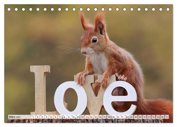 Produktbild: Eichh&ouml;rnchen - Kleine Fotomodelle mit gro&szlig;em Charme (Tischkalender 2027 DIN A5 quer), CALVENDO Monatskalender