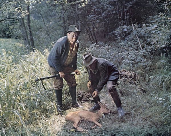 Produktbild: Das M&auml;del aus dem B&ouml;hmerwald (Filmjuwelen)