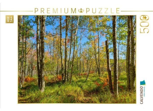 CALVENDO Puzzle Wälder im Acadia National Park | 500 Teile Lege-Größe 48 × 36 cm Foto-Puzzle für Erwachsene